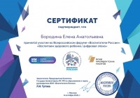 сертификат Воспитатели России