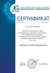 certificate_popyrina_anna_eduardovna_389319